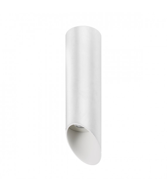 White Argon aluminum technical spot ceiling light