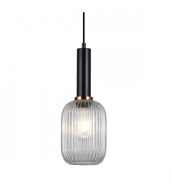 Modern hanging lamp Antiola Black, clear glass