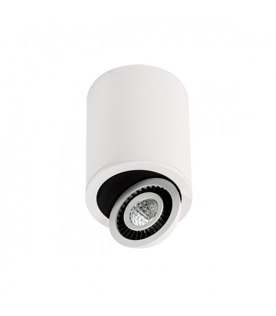 Technical and modern spot ceiling light Subba 3000K White black