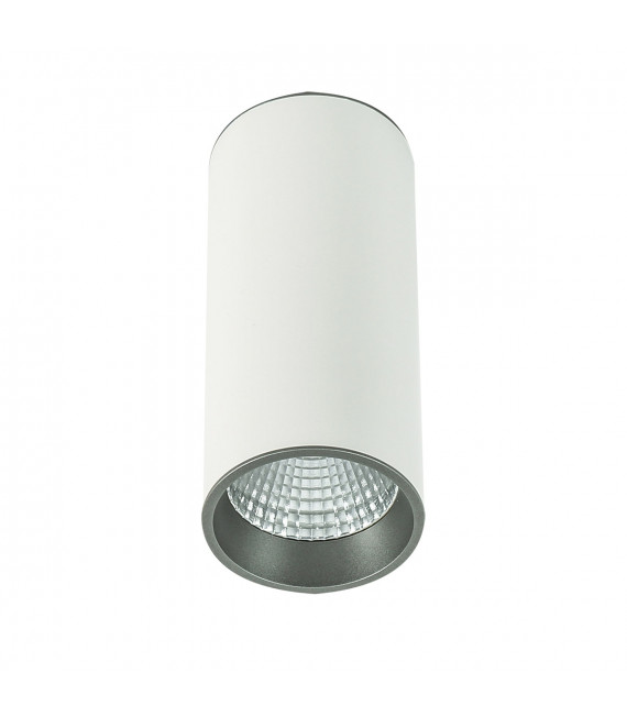 Technical and modern spotlight Moldes Big WH/GR Ceiling 3000K White, gray