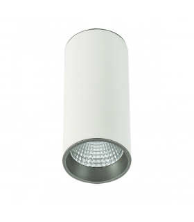 Technical and modern spotlight Moldes Big WH/GR Ceiling 4000K White, gray