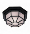 Black garden ceiling light