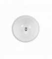 Transparent SHELL ceiling light 3 bulbs