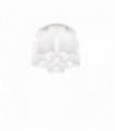 White COMPO ceiling light 6 bulbs