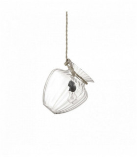 Lámpara colgante POTTY transparente 1 bombilla