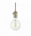 Suspension Brune DOC 1 ampoule