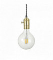 Suspension Laiton DOC 1 ampoule