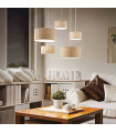 Suspension CANVAS EKOS 5 ampoules