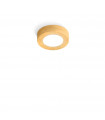 Spot Downlight Click Gold 1 bulb 3cm