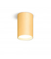 Spot Downlight Tubo 24 carat gold plated Gold 1 bulb 1cm