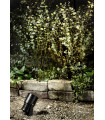 Garden24 Garden stake Aluminum Black 1 bulb 30cm