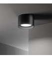 Spot Downlight Spike Black Metal 1 bulb 6.5cm