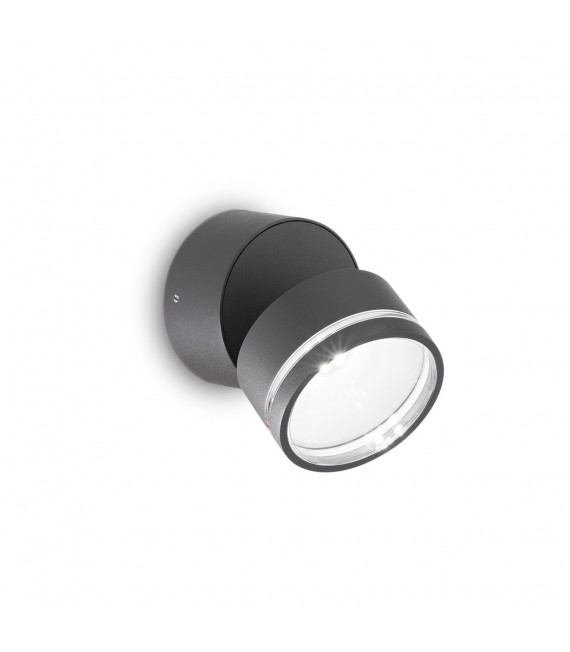 Spotlight Omega 1 bulb Glass, metal Anthracite
