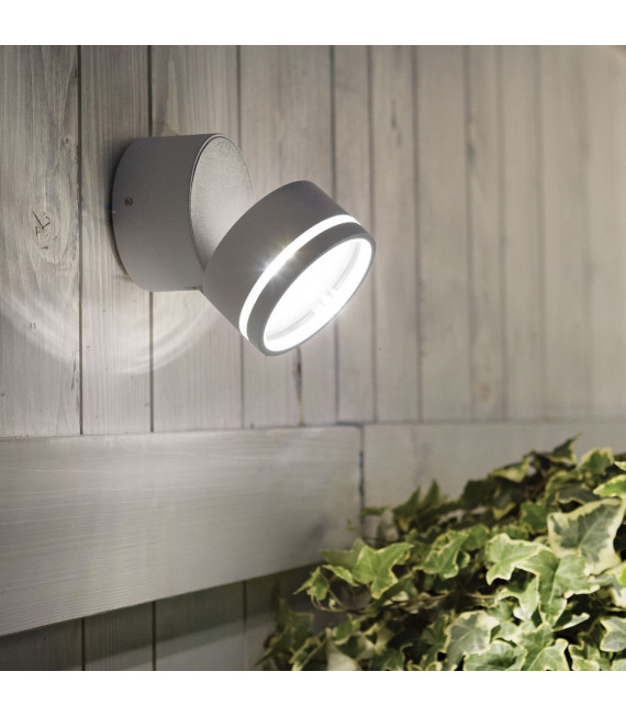Spotlight Omega 1 bulb Glass, white metal
