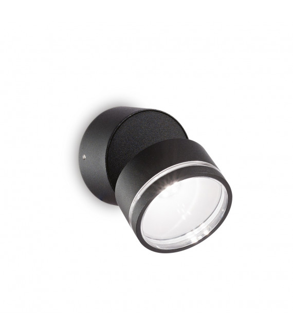 Spotlight Omega 1 bulb Glass, metal Black