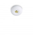 Arizona ceiling light White glass 2 bulbs 18cm
