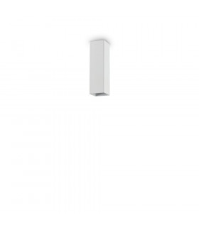 Spot Downlight Sky White metal 1 bulb 20cm