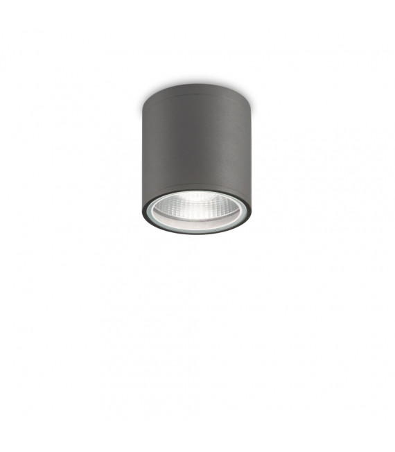 Spot Downlight Gun Aluminio Antracita 1 bombilla 11,5cm