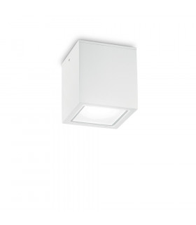 Spot Downlight Techo Cristal, metal blanco 1 bombilla 16cm