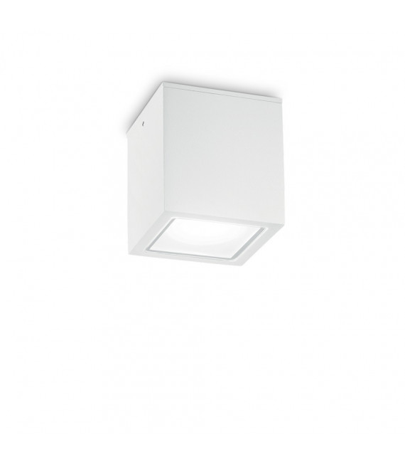 Spot Downlight Techo Glass, white metal 1 bulb 16cm