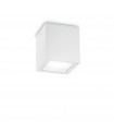 Spot Downlight Techo Glass, white metal 1 bulb 16cm