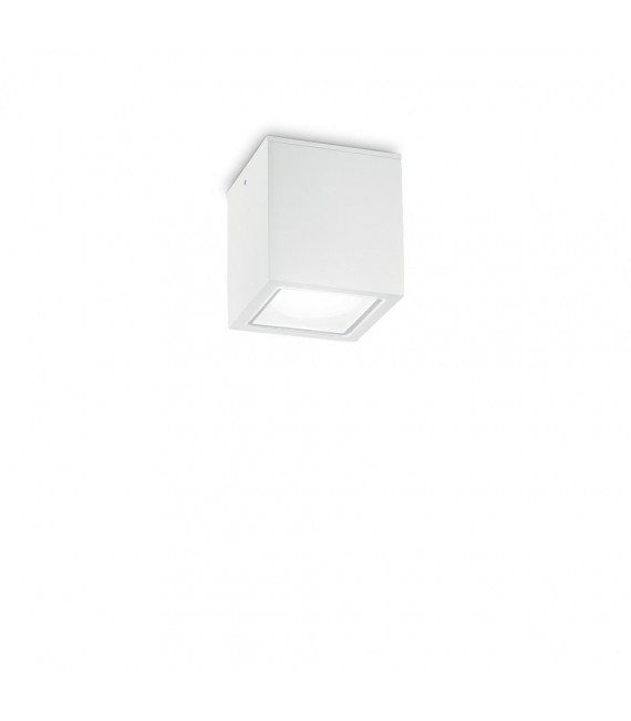 Spot Downlight Techo Glass, white metal 1 bulb 9.5cm