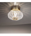 Spot design CARLA Or 24 Carats 1 ampoule
