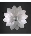 product - 2