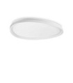 Gemini LED Ceiling Light Metal, White Plastic