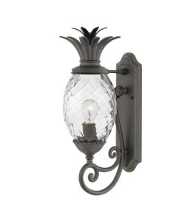Lampada da parete per esterno Plantation Vetro ottico trasparente, alluminio Museum Nero