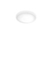 Atrium LED Ceiling Light Plastic, White Aluminum