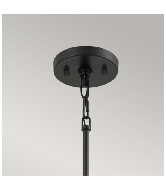 Suspension Quoizel Acier Terre noire