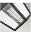 Applique murale extérieur Hinkley Aluminium,laiton,verre grainé transparent Noir