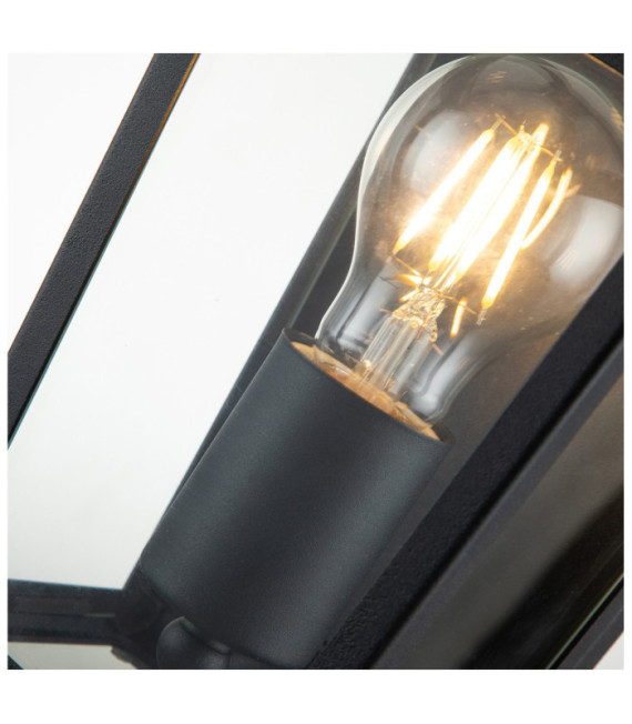 Lampada da parete per esterni Hinkley Vetro trasparente, alluminio Museum Black