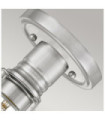 Quoizel Ceiling Light Brushed Nickel Steel