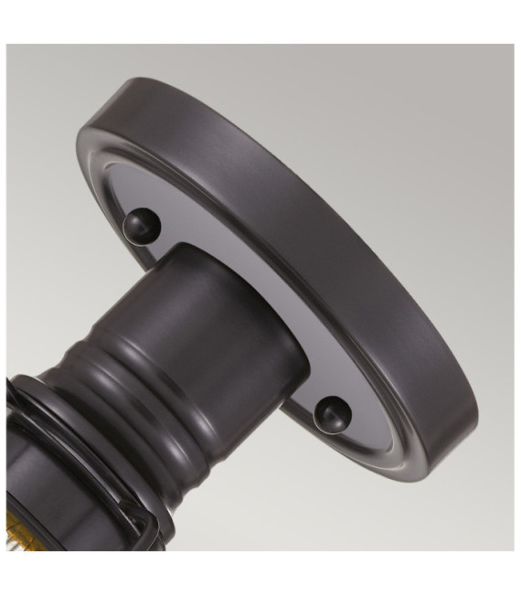 Quoizel Ceiling Light Steel Palladian Bronze