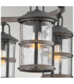 Hinkley outdoor pendant light Transparent seeded glass, aged zinc aluminum and driftwood gray
