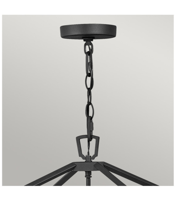 Hinkley outdoor pendant light Transparent seed glass, Museum aluminum Black