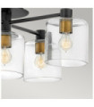 Hinkley Ceiling Light Steel, Black Clear Glass with Heritage Brass