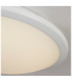 Knutsford Bathroom Ceiling Light Mild Steel, White Glass