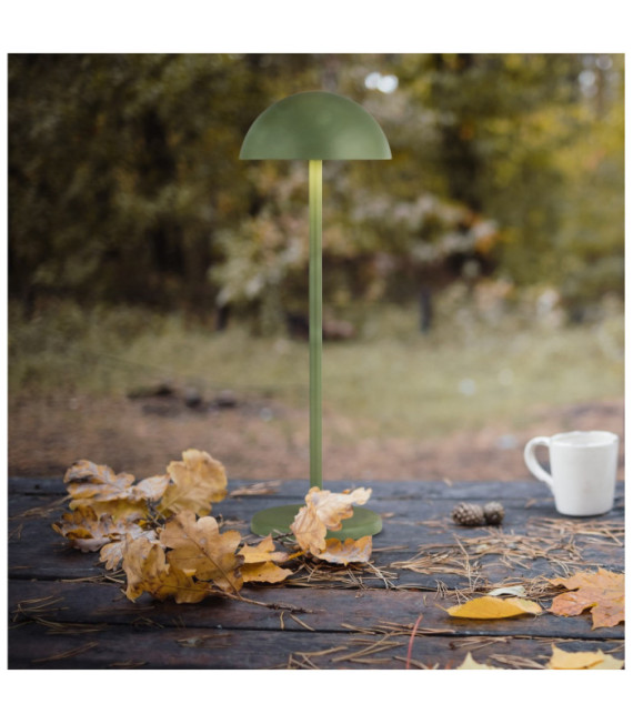 Lampe de table LED extérieur Portabello Aluminium Clair, vert mat
