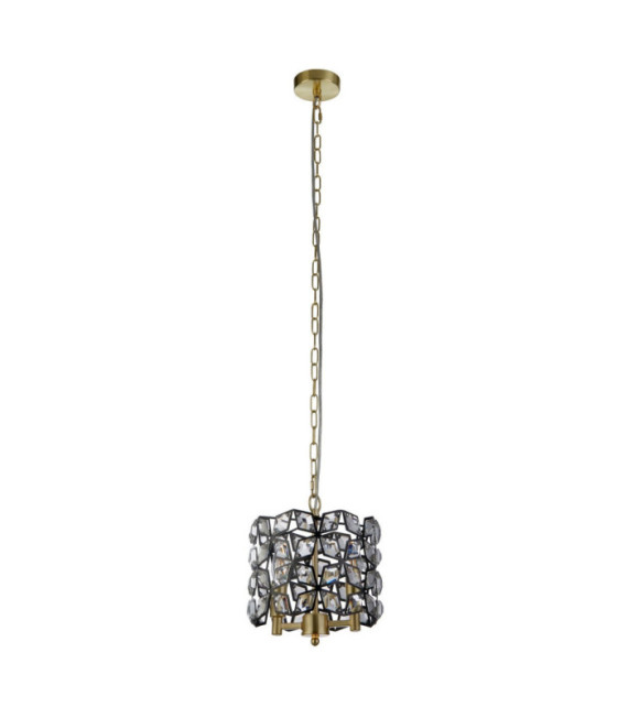 Iris pendant light Mild steel, glass Brass