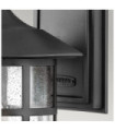 Applique murale extérieur Hinkley Verre à graines transparent,composite résistant aux intempéries, Noir texturé