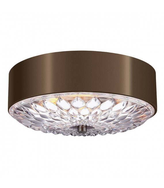 Plafoniera botanica, 40,6 cm, ottone anticato scuro, vetro acidato