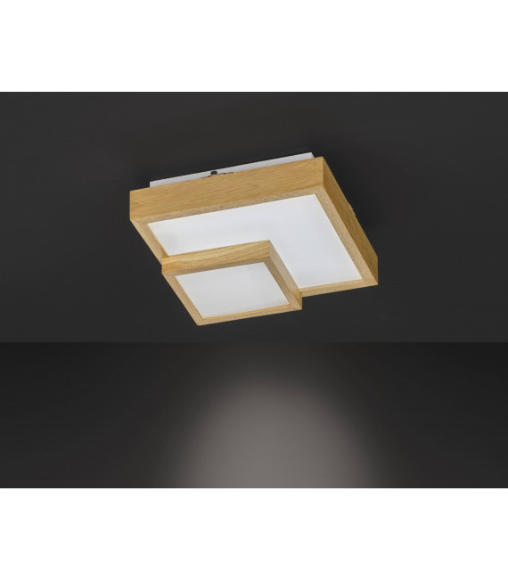 HUDSON Holzdeckenleuchte 1 LED-Lampe