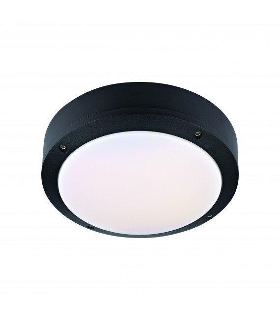 Garden ceiling light LUNA Black