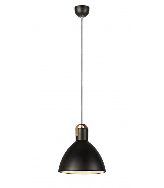 EAGLE ceiling light black 1 bulb