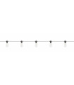 Garden spot GARDEN24 Black 10 bulbs