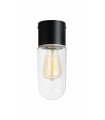 Plafonnier de salle de bains ZEN Noir 1 ampoule
