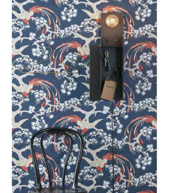 COMBO Applique nera 1 lampadina